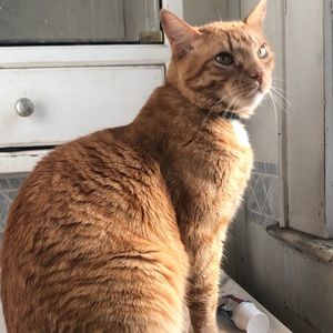 Meet your Posher, Melody